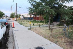 Bold witness to alleged abuse by federal agents comes forward (Thank you readers 21,000 views in one day) The alleged choking actually occured just off the sidewalk underneath the neighbors tree. (Courier Photo: Bryon Garrison)