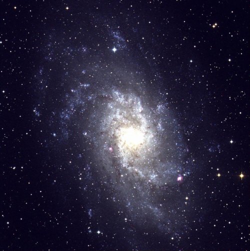 Trans-Pecos Science More than a billion stars form the whirling spiral galaxy Messsier 33 (M33) in the constellation Triangulum. At a distance of only 3.5 billion light-years, M33 is one of the nearest spiral galaxies. Photo Credit: Tom Montemayor